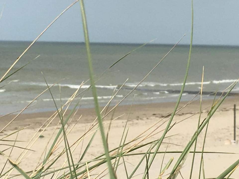 Stacaravan 4Pers In Bredene Met Eigen Tuintje 2449 Luaran gambar
