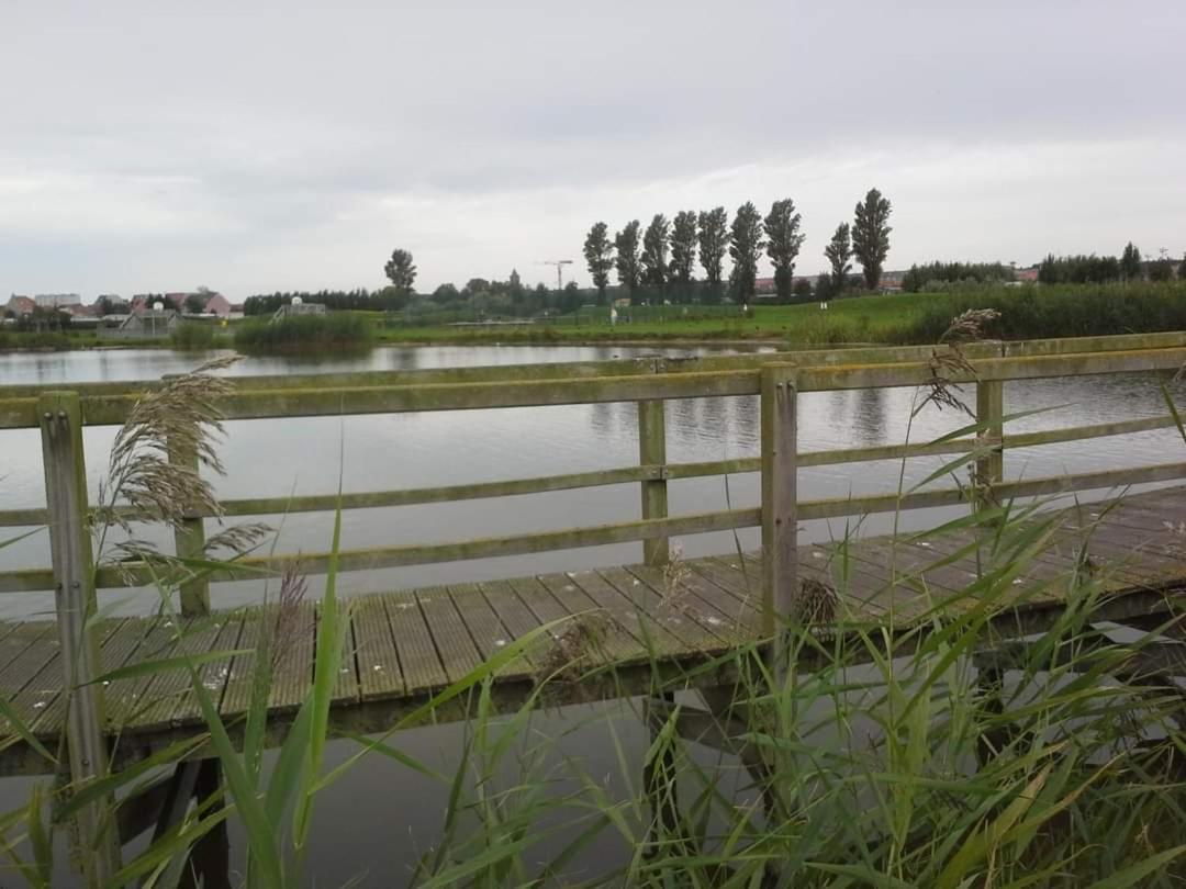 Stacaravan 4Pers In Bredene Met Eigen Tuintje 2449 Luaran gambar